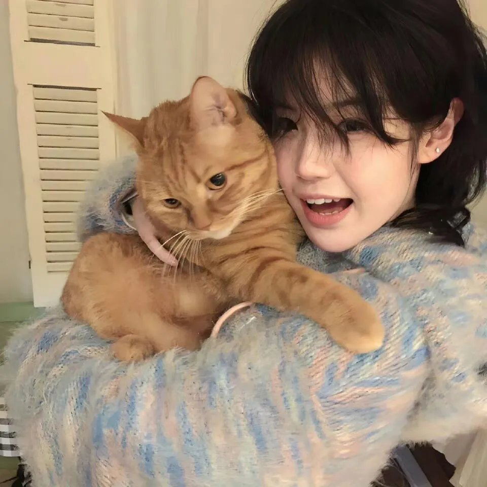 空姐刑警：纽约杀人案